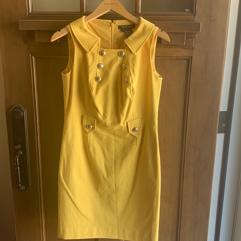 Ladies vintage style tailored dress